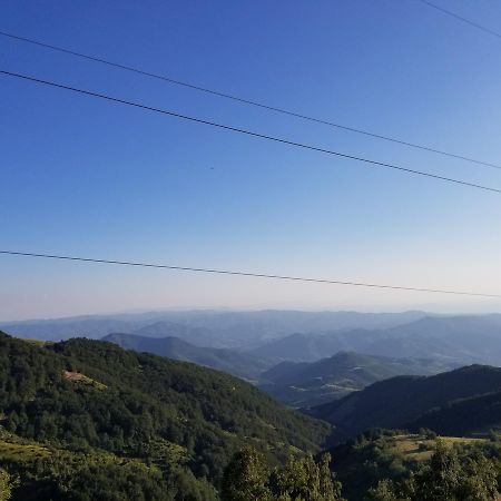 Apartment Milmari M5 - Mountain Mist Kopaonik Eksteriør bilde